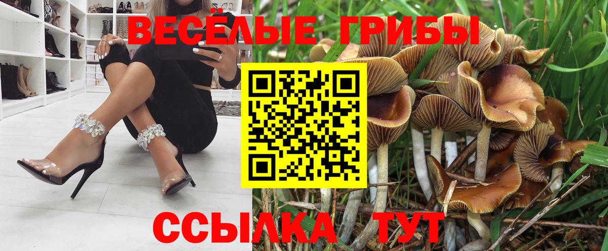 Псилоцибиновые грибы Magic Shrooms Тельмана