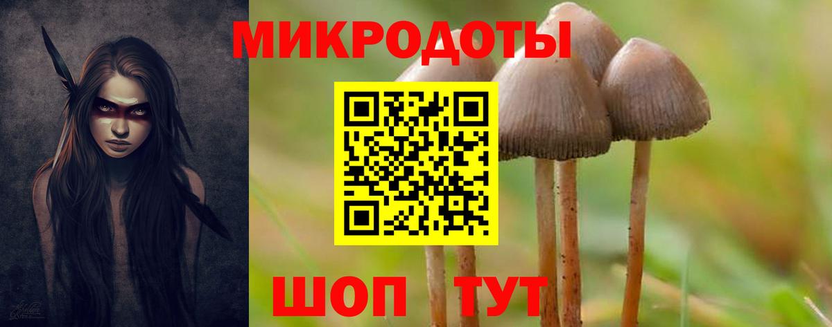 Галлюциногенные грибы Psilocybe  Псилоцибиновые грибы Magic Shrooms  Тельмана  Вход с VPN 